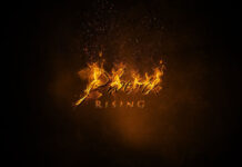 Phoenix Rising
