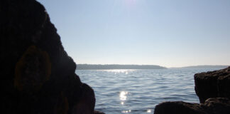 Bilderserie Waren (Müritz)