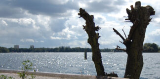 Blick auf den Tegeler See