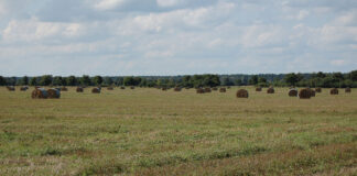 Strohballen bei Löwenberg