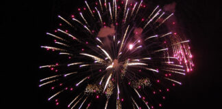 Bilderserie Hafenfest Tegel