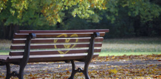 Bilderserie Herbst 2016