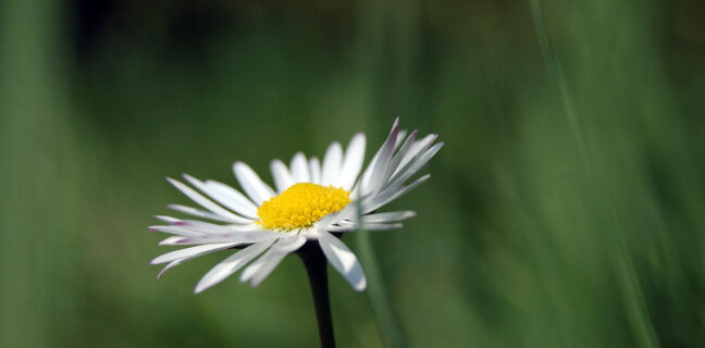 Berlin | Rivertime | Seite 2