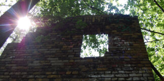 Bilderserie Südgelände