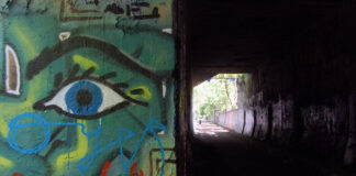 Natur-Park Südgelände