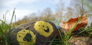 Bilderserie Herbst 2017