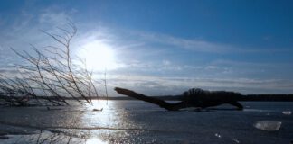 Tegeler See im Winter