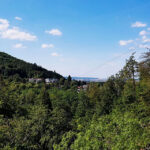 Baumwipfelpfad-Harz-Parken