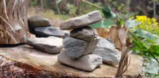 Bilderserie Baumwipfelpfad im Harz