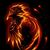 profile-image-fb-acc-dennis_kluge