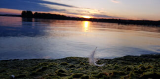 Sound der Stille am See