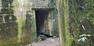 Bilderserie Lager Koralle