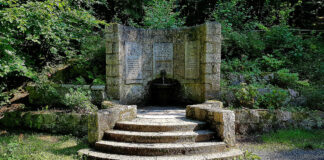 Bilderserie Calciumquelle bei Stecklenberg