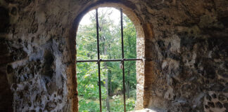 Bilderserie Steinbergturm bei Goslar
