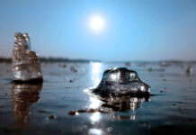 Winterwunder im Tegeler See