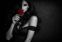 Bilderserie Colour-Key-Fotografie