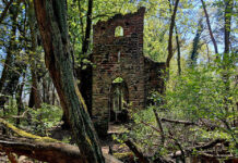 Geheimnis im Wald – Die Ruine einer gotischen Kapelle