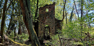 Geheimnis im Wald – Die Ruine einer gotischen Kapelle