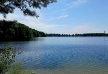 Flughafensee Berlin – Paradies mit spannender Geschichte