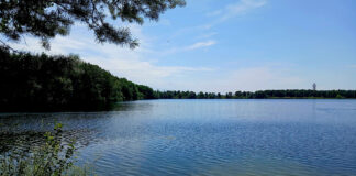 Flughafensee Berlin – Paradies mit spannender Geschichte
