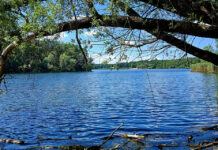 Bilderserie Flughafensee