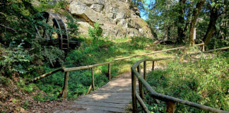Bilderserie Regensteinmühle